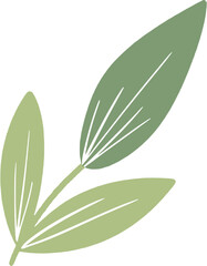 Obraz premium Green Leaf