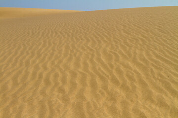 Fototapeta premium Golden Sand Dunes with Ripple Patterns in Oman