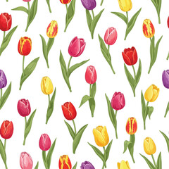 Obraz premium A seamless pattern of various colorful tulips on a white background