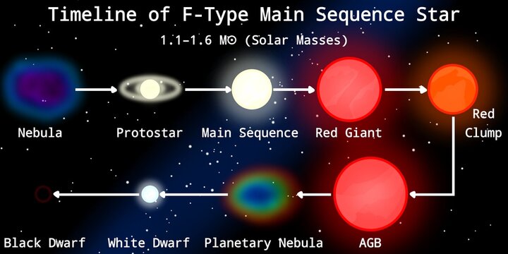 Stellar Evolution of F-Type Main Sequence Star Infographic (Yellow-White Main Sequence Star) &ndash; Stellar Evolution Infographic