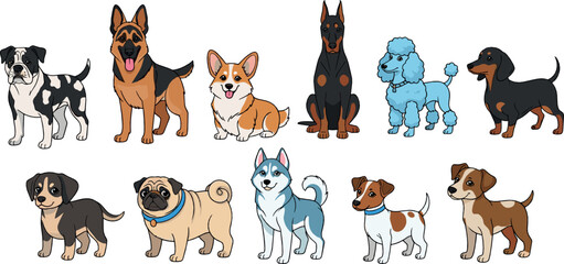 Cute Dog Breeds Collection with Shepherd, Corgi, Doberman, Poodle, Husky, Pug and Other Domestic Puppies Cartoon Vector Illustration Set © MbBasir