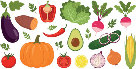 Fresh Garden Vegetables Collection with Pumpkin, Eggplant, Avocado, Tomato, Corn, Onion, Radish and Leafy Greens Healthy Food Vector Set