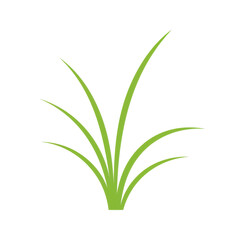 Obraz premium Stylized green grass blades rising upwards in simple illustration isolated on white background