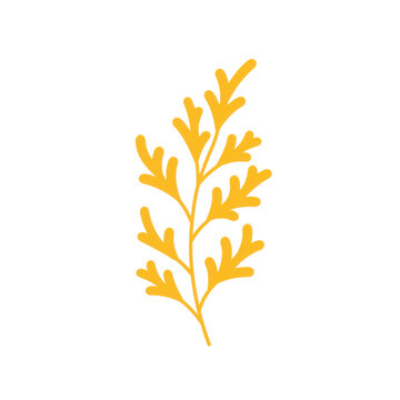 Stylized goldenrod branch with rounded lobes and simple stem design isolated on white background