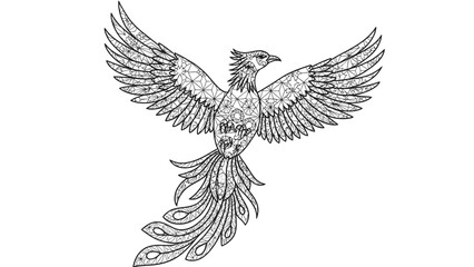Obraz premium A detailed line drawing of a phoenix bird in flight with outstretched wings and a long tail against a plain white background.