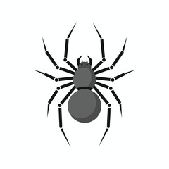 Obraz premium A minimalist black and grey spider illustration with eight legs
