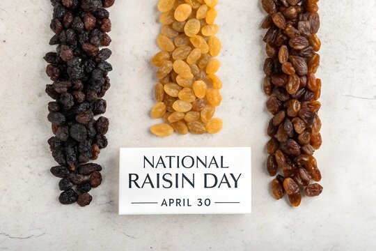 Celebrating national raisin day on april thirtieth with three distinct varieties of dried grapes displayed vertically on a light textured surface for a healthy food holiday celebration.