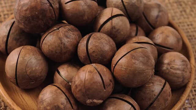 Macadamia nuts both in-shell and shelled