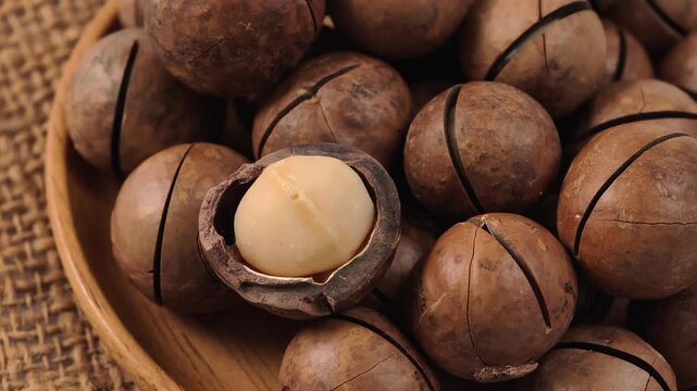 Macadamia nuts both in-shell and shelled