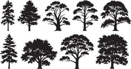 Obraz premium set of forest tree silhouettes black vector isolated on white background