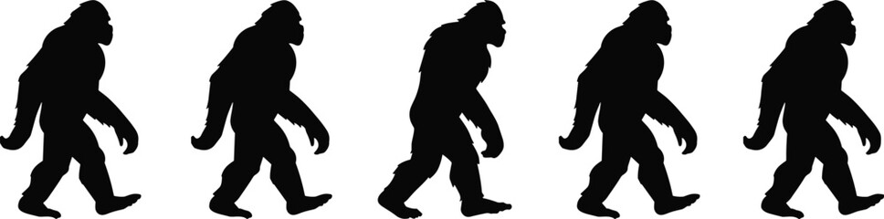 Bigfoot, Sasquatch, silhouette, walking sequence, cryptid creature, forest legend, mysterious animal, black shape, myth, wilderness, isolated, vector, evolution, bipedal figure