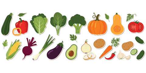 Vegetable assortment illustration, colorful healthy food artwork with zucchini pepper lettuce broccoli tomato corn carrot garlic herbs, flat vector design