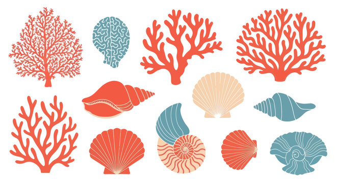 Coral Reef Elements and Seashells Collection - Coral, Shells, Ocean Life