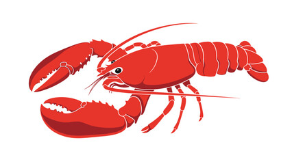 Large red lobster is depicted with its powerful claws and detailed shell in a clean vector illustration for seafood menus.