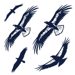 Obraz premium Flying hawk silhouettes set with detailed wing feathers isolated on white background depicting majestic birds of prey soaring through mountain skies