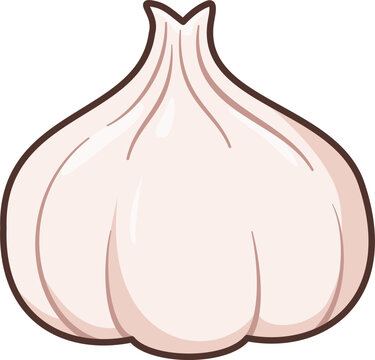 A cute flat vector illustration of a fresh white garlic bulb, essential for cooking and kitchen themes.
