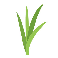 Obraz premium Light green grass blades with a dark green outline against a solid black background