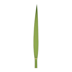 Obraz premium Isolated upright blade of green grass, slender and pointed, set against a stark black backdrop