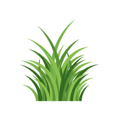 Fototapeta premium Bunch of digitally rendered light green grass, blades pointed up, against a stark black background