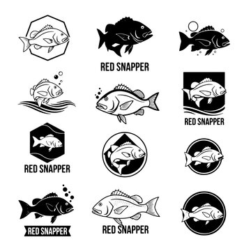 collection of red snapper logo icons, black and white, vector illustration, white background