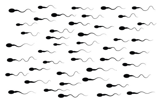 Sperm Cells Silhouette Pattern Vector Illustration