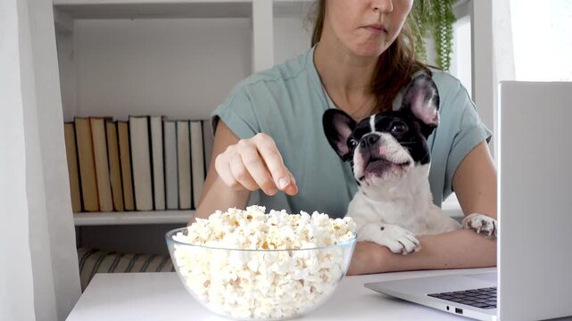 Woman watches a movie on a laptop at home with his dog, enjoying popcorn. Cozy atmosphere: books, plants, and soft lighting. Modern home entertainment blends technology and tranquility