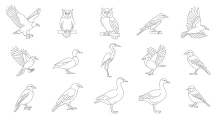 Fototapeta premium Collection of diverse bird species depicted in simple line art style