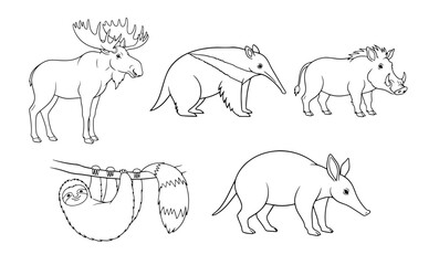 Fototapeta premium Collection of five line art animal illustrations including moose anteater warthog sloth and aardvark coloring page