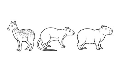 Fototapeta premium Three line art animals including spotted deer rat and capybara coloring page