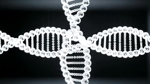 DNA Double Helix Structure Molecular Biology.