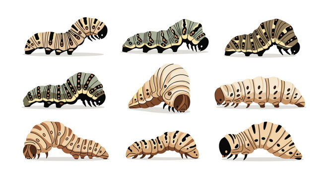Comprehensive collection of nine different types of caterpillars with various colors, patterns, and body shapes on white.