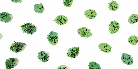 Overhead view of lush green treetops scattered on a white background © Sabuj