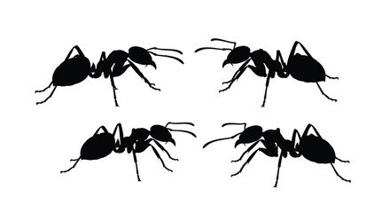 Four black ant figures in various poses a striking silhouette © Full
