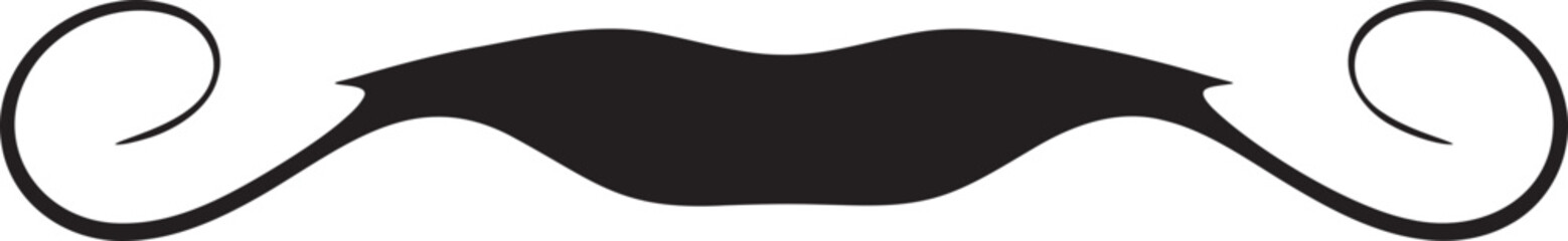 Vector mustache silhouette icon