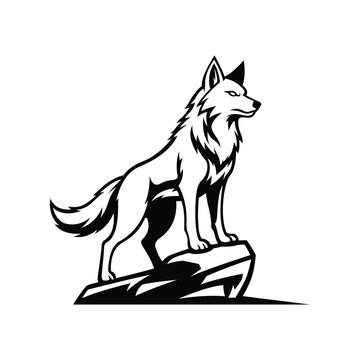 coyote mascot logo illustration vector design template modern style