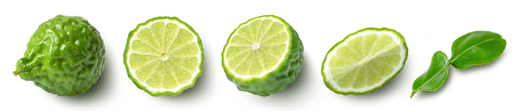 Bergamot on white