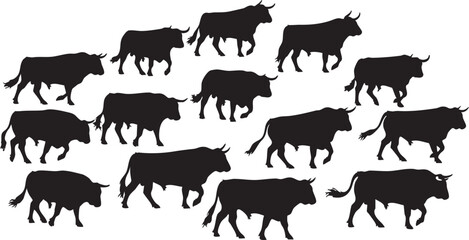 Silhouette of twelve walking bulls in various positions on white background silhouettes