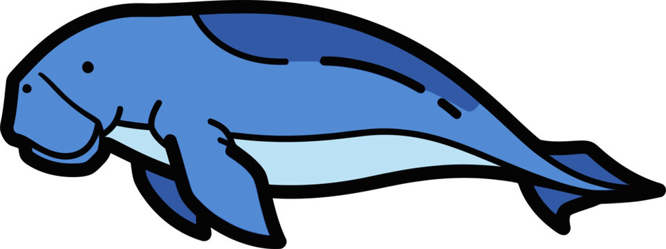 dolphin vector illustration