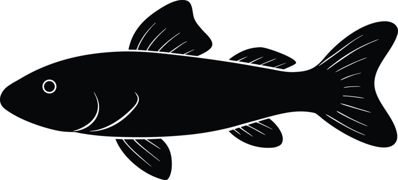 plecostomus pleco silhouette vector art illustration, black and white design