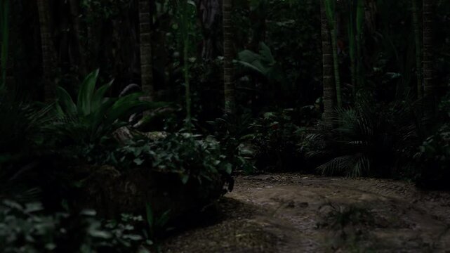 Muddy track cutting through dense jungle, deep tire ruts and scattered leaf litter, rugged terrain inviting offgrid expedition, earthy tones and adventurous