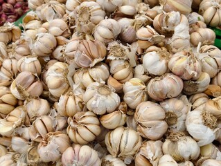 Close up pile of fresh garlic bulbs showing natural food ingredient commonly used in cooking and healthy organic cuisine
