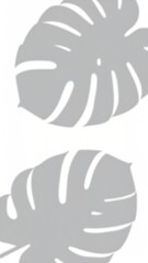 Obraz premium Gray-toned leaf shadows on a white backdrop, creating a simple, stark design
