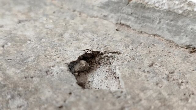 Concrete surfaces are peeling or spalling. due to extreme weather