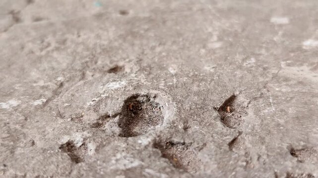 Concrete surfaces are peeling or spalling. due to extreme weather