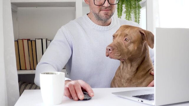Man in a blue sweater works on a laptop at a clean white desk with his dog nearby, surrounded by books, a coffee cup and a green plant. Remote work concept blending comfort and digital nomad lifestyle