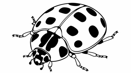 Fototapeta premium Cute red and black ladybug beetle vector illustration of a small garden insect on a white background, featuring a cartoon art style perfect for spring and summer nature designs