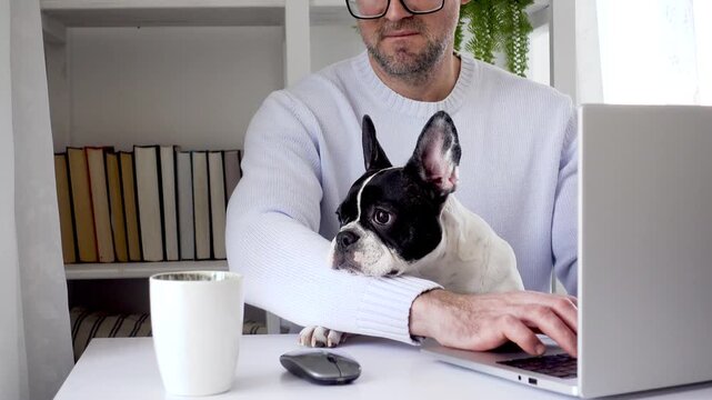 Man in a blue sweater works on a laptop at a clean white desk with his dog nearby, surrounded by books, a coffee cup and a green plant. Remote work concept blending comfort and digital nomad lifestyle