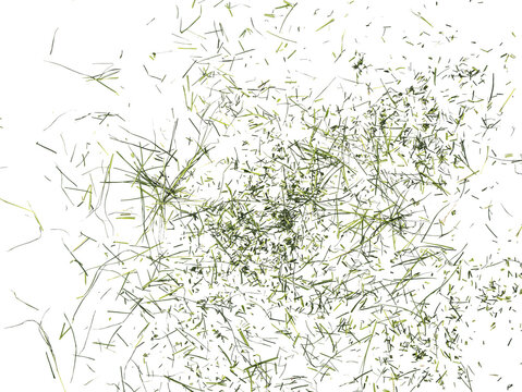 Scattered green grass clippings on black background