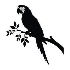 Fototapeta premium Macaw perched on branch side view Vector, Silhouette, Illustration