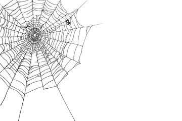 Obraz premium Black spider silk web with a small spider on a transparent background, depicting a halloween or spooky trap concept